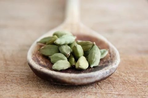 Cardamom Stock Photos