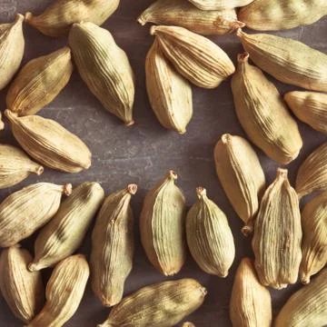 Cardamom Stock Photos