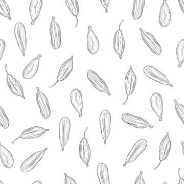 Cardamom plant. Vector  seamless pattern. Illustrazione stock