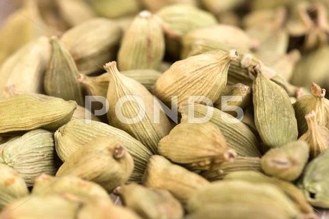 Cardamom spicy seasoning of India Stock Photos