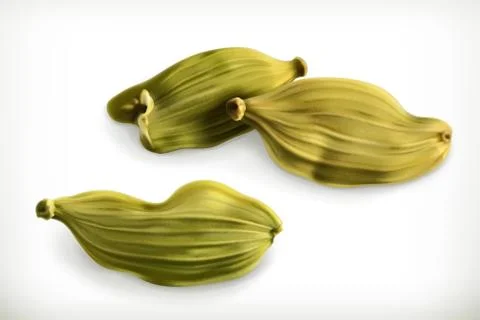 Cardamom vector icons Stock Illustration