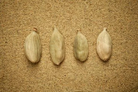 Cardamon beans Stock Photos