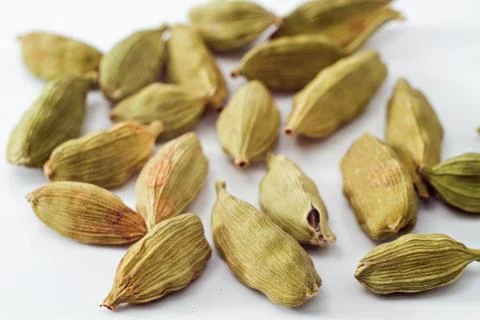 Cardamon . Stock Photos