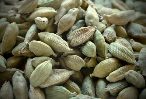 Cardamon Stock Photos