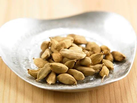 Cardamon 스톡 사진