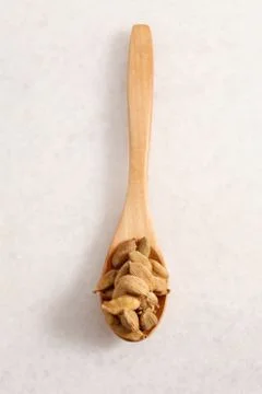 Cardamon 스톡 사진