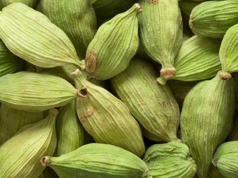 Cardamon pods Stock Photos