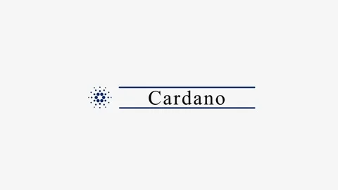 Cardano Stock-Footage 165397125