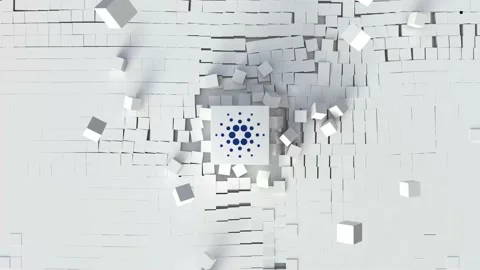 Cardano Stock Footage 165499646