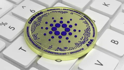 CARDANO on keyboard Stock-Footage 181667566