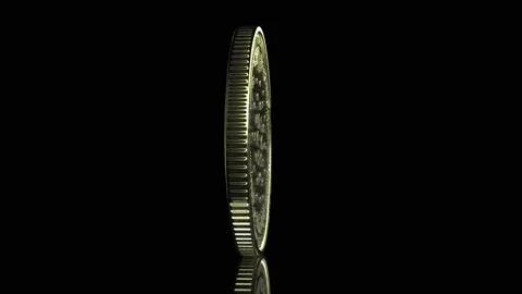 CARDANO rotating into frame Stock-Footage 181664733