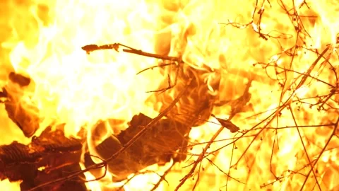 Cardboard and Branches Burn In Fire Close Up Stock Footage 195281501