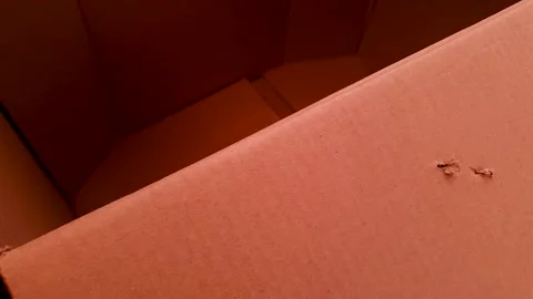 Cardboard box. Cardboard packaging. Stock Footage 303913267