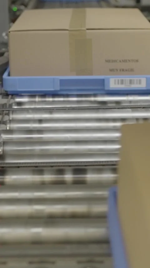 Cardboard Box on Conveyor in Warehouse for Efficient Logistics Movement Stock Footage 320151865