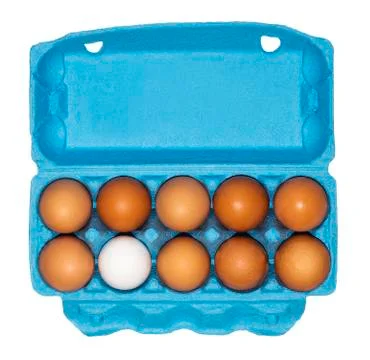 Cardboard box of eggs Stock Photos