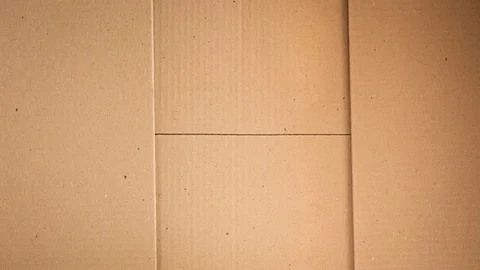 Cardboard box. Stock Footage 104558973