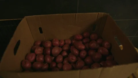 Cardboard box full of red potatoes Video stock 103879480