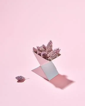 Cardboard box triangular with cones presented on a pink background with a s.. Stock Photos