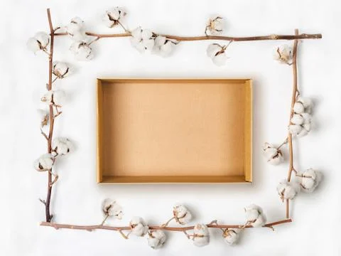 Cardboard box within frame made of cotton flower branches on white background Stock Photos