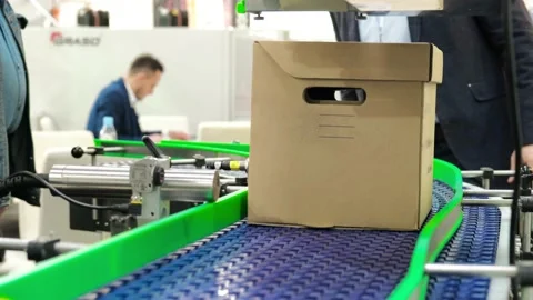 Cardboard boxes on conveyor in a distribution center Vidéo 132063142