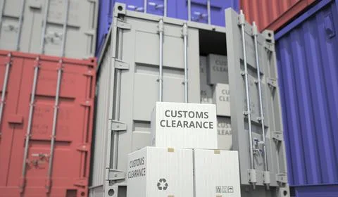 Cardboard boxes with Customs clearance text and cargo containers. Export or Stock Illustration