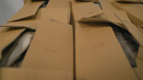 Cardboard boxes with fish in the warehouse. Fish in a box before shipment. Video stock 129944323