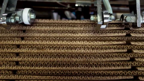 Cardboard Boxes Folded By Packaging Machine On Production Line At Plant Stock Footage 253189775
