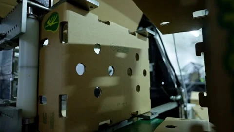 Cardboard Boxes Formed by Automated Punch Machinery in Factory Stock Footage 337450854
