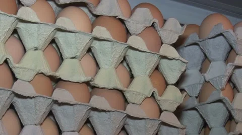 Cardboard boxes full with farm eggs Stock Footage 48808058