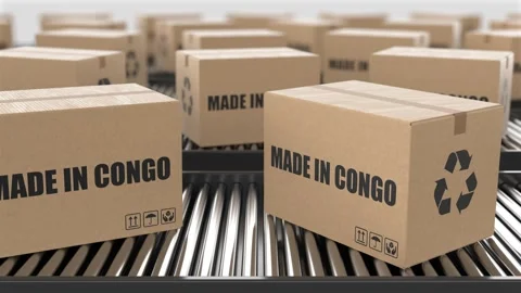 Cardboard boxes with Made in Congo text on roller conveyor Stock Footage 262458149