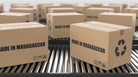 Cardboard boxes with Made in Madagascar text on roller conveyor Video stock 262482673