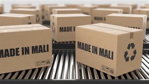 Cardboard boxes with Made in Mali text on roller conveyor Stock Footage 262482657