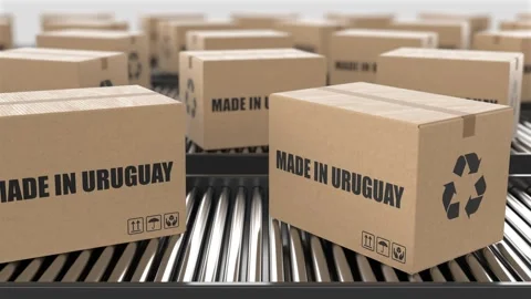 Cardboard boxes with Made in Uruguay text on roller conveyor Stock Footage 262640713
