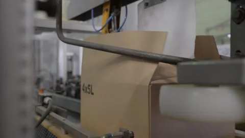 Cardboard Boxes Moving Along Automated Packaging Line Stock Footage 336369190