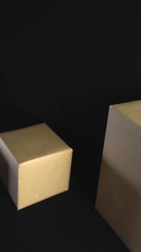 Cardboard boxes moving in a logistics warehouse Stock Footage 344106039