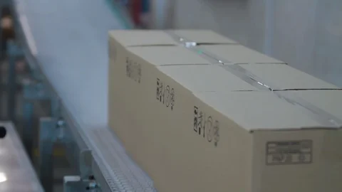 Cardboard boxes progresses along conveyor belt. Cardboard boxes on conveyor belt Stock Footage 122058603