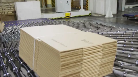 Cardboard boxes transported by conveyor in light workshop Stock Footage 113230867