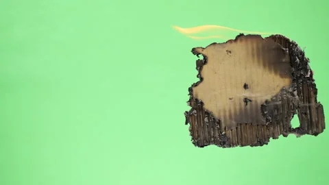 Cardboard Burning Stock Footage 172206844