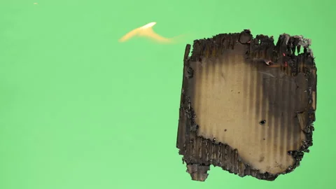 Cardboard Burning Stock Footage 172216088