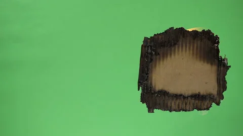 Cardboard Burning Stock Footage 172359774