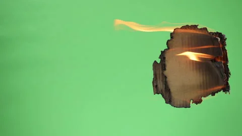 Cardboard Burning Stock Footage 172419214