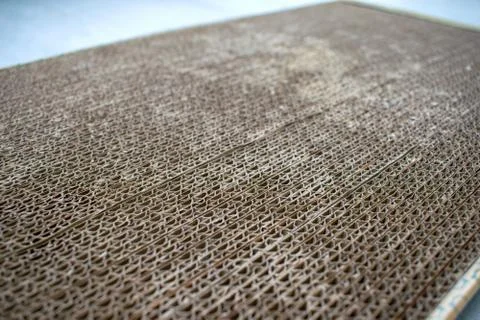 Cardboard cat scratching post isolated. Macro top view texture. Stock Photos