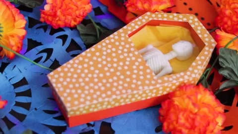 Cardboard coffin with skeleton inside. Colorful decoration for day of the Stock Footage 272788070