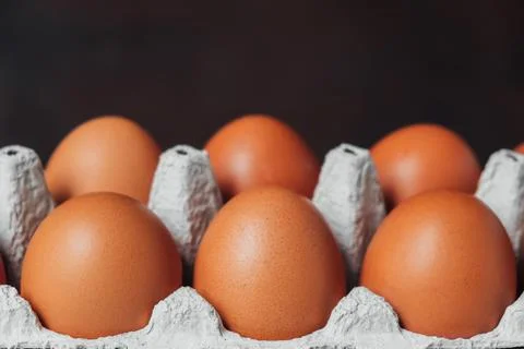Cardboard container with chicken eggs close-up. 스톡 사진