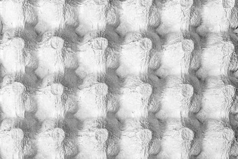 Cardboard containers for eggs Stock Photos
