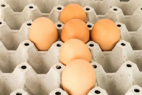 Cardboard egg box. Stock Photos