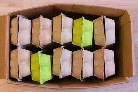 Cardboard egg containers ready for recycling Stock Photos