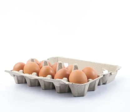 Cardboard egg rack with eggs Stock Photos