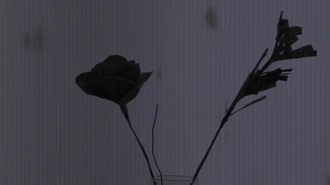 Cardboard flowers outside the window 스톡 동영상 86452153