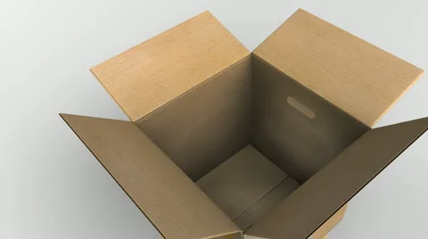 In the cardboard Stock Footage 1783356